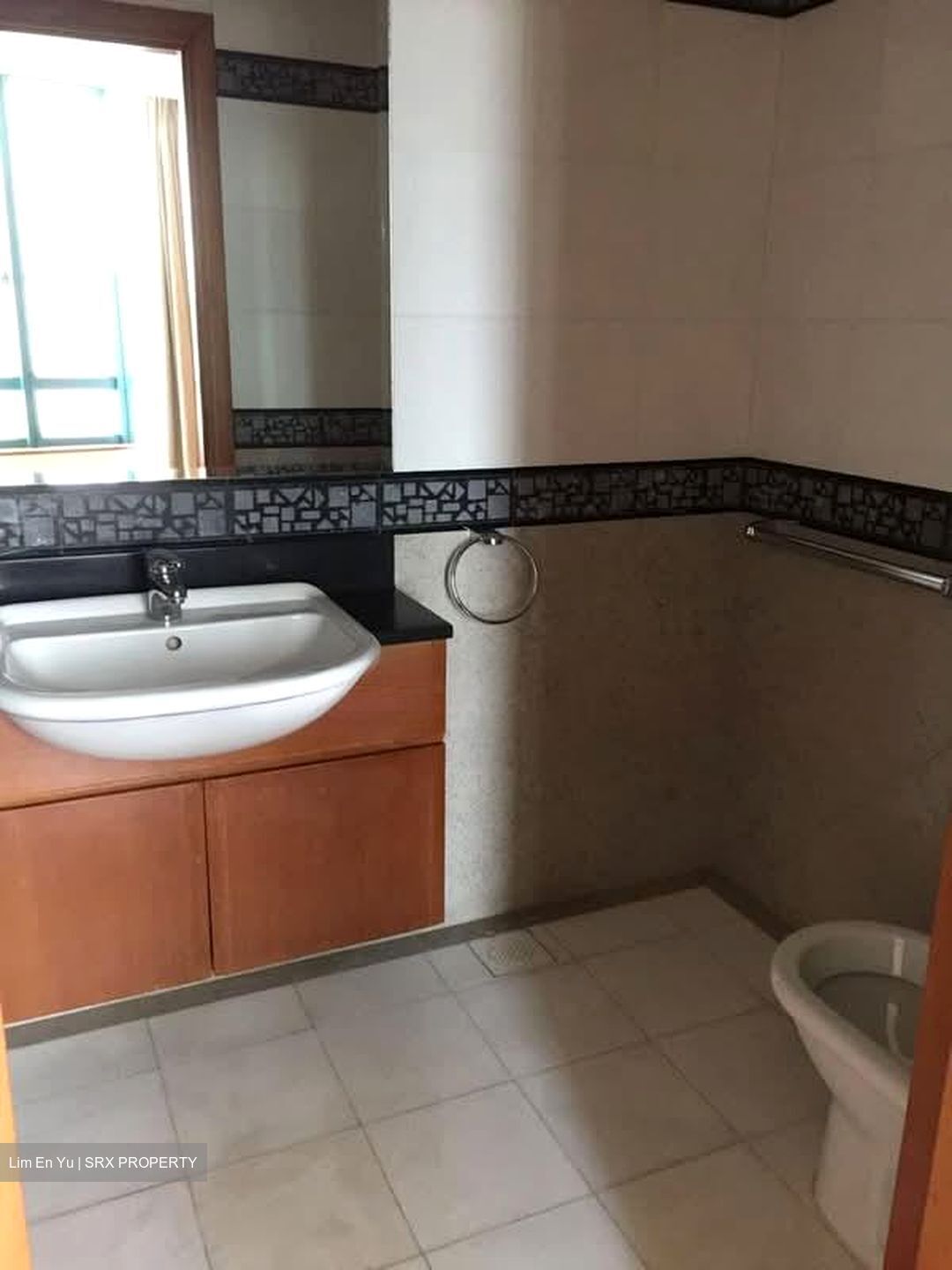 The Legend (D10), Condominium #583439701